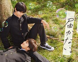 侯马外贸seo优化推广